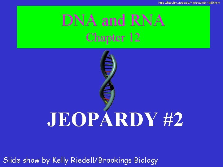 http: //faculty. uca. edu/~johnc/mbi 1440. htm DNA and RNA Chapter 12 JEOPARDY #2 Slide