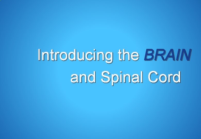 Introducing the BRAIN and Spinal Cord 