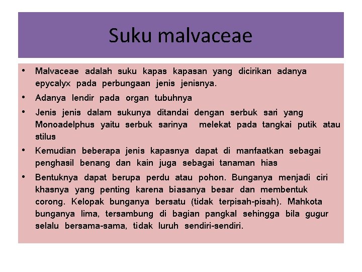Suku malvaceae • Malvaceae adalah suku kapasan yang dicirikan adanya epycalyx pada perbungaan jenisnya. Suku malvaceae • Malvaceae adalah suku kapasan yang dicirikan adanya epycalyx pada perbungaan jenisnya.