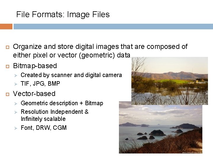 File Formats: Image Files Organize and store digital images that are composed of either