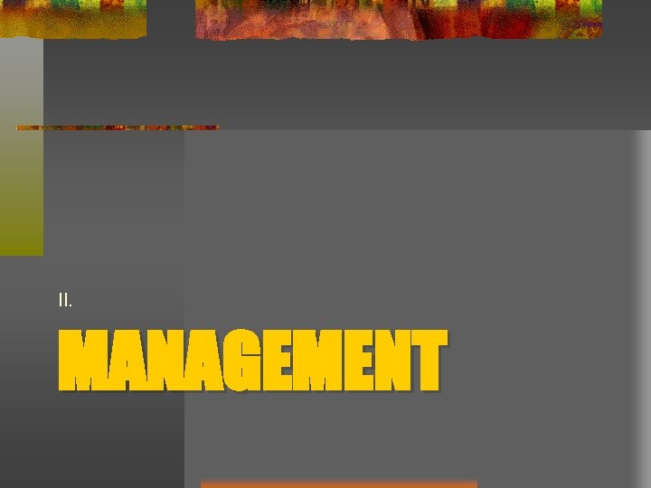 II. MANAGEMENT 