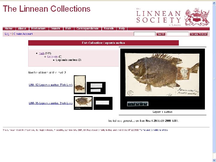 Collections Repository: The Linean Society 