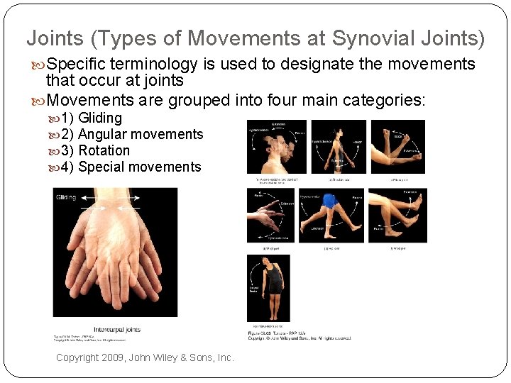 Joints (Types of Movements at Synovial Joints) Specific terminology is used to designate the