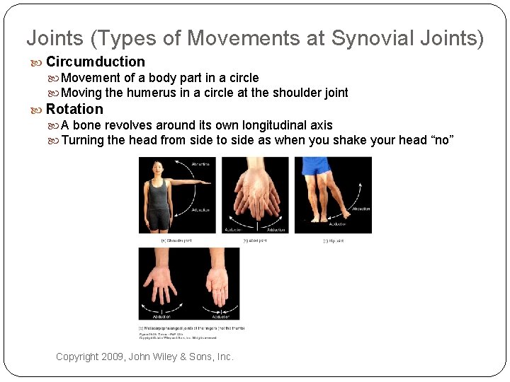 Joints (Types of Movements at Synovial Joints) Circumduction Movement of a body part in