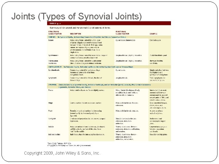 Joints (Types of Synovial Joints) Copyright 2009, John Wiley & Sons, Inc. 