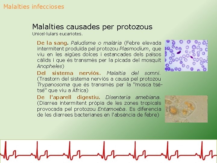 Malalties infeccioses Malalties causades per protozous Unicel·lulars eucariotes. De la sang. Paludisme o malària