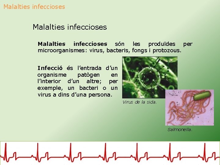 Malalties infeccioses són les produïdes per microorganismes: virus, bacteris, fongs i protozous. Infecció és