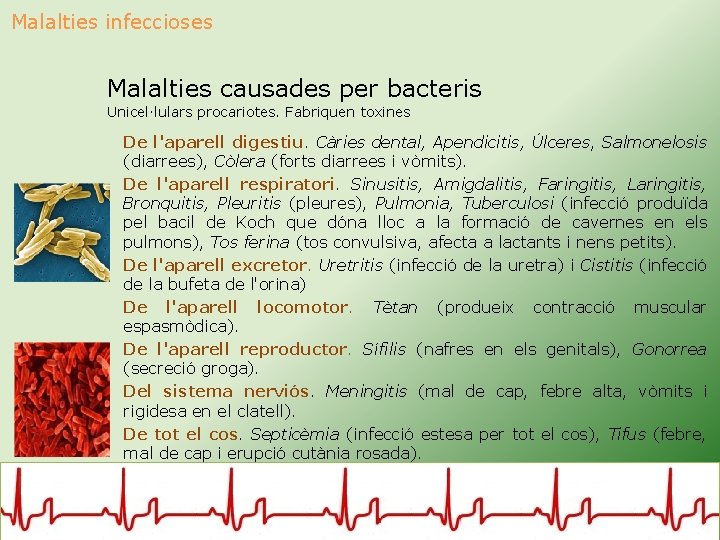 Malalties infeccioses Malalties causades per bacteris Unicel·lulars procariotes. Fabriquen toxines De l'aparell digestiu. Càries