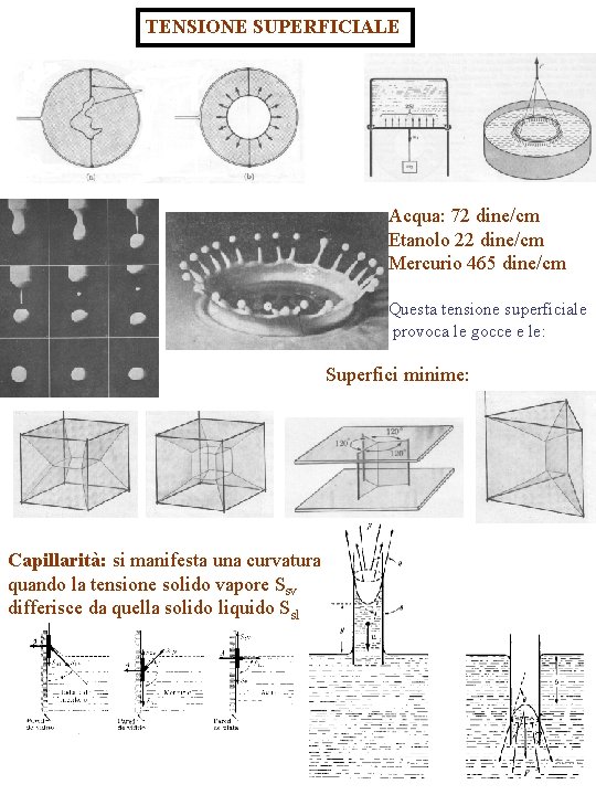 TENSIONE SUPERFICIALE Acqua: 72 dine/cm Etanolo 22 dine/cm Mercurio 465 dine/cm Questa tensione superficiale