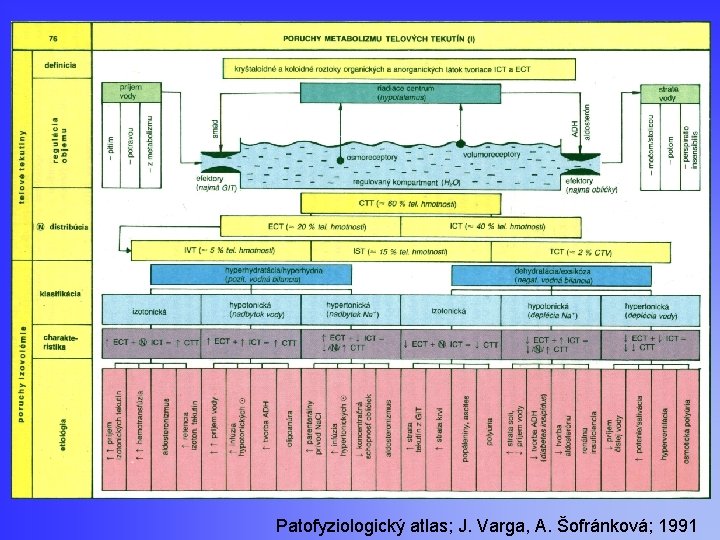 Patofyziologický atlas; J. Varga, A. Šofránková; 1991 