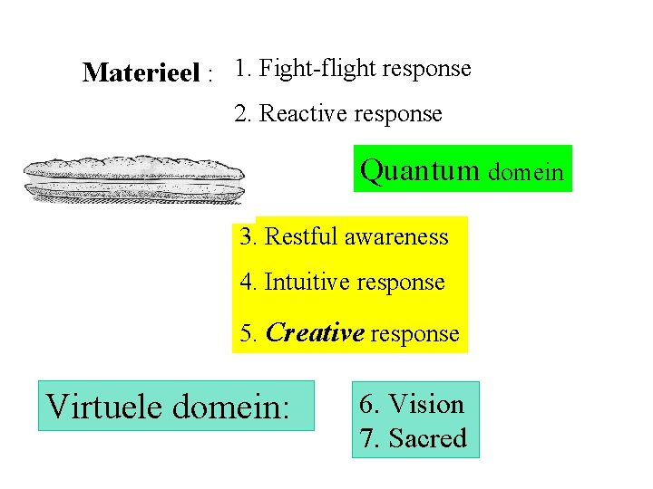 Materieel : 1. Fight-flight response 2. Reactive response Quantum domein 3. Restful awareness 4.
