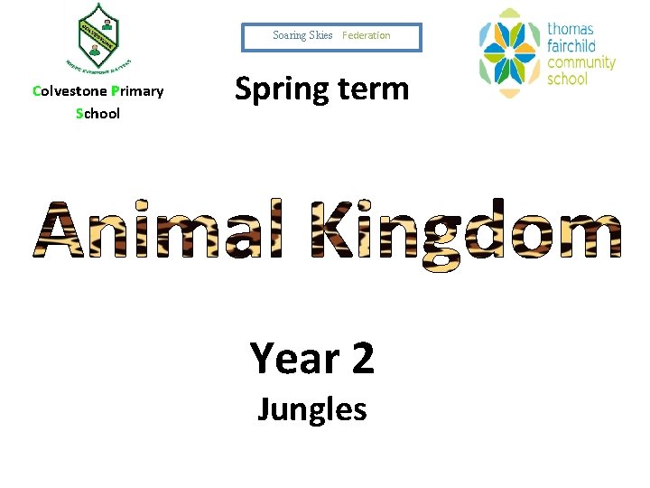 Soaring Skies Federation Colvestone Primary School Spring term Year 2 Jungles 