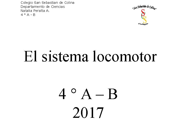 Colegio San Sebastian de Colina Departamento de Ciencias Natalia Peralta A. 4°A-B El sistema