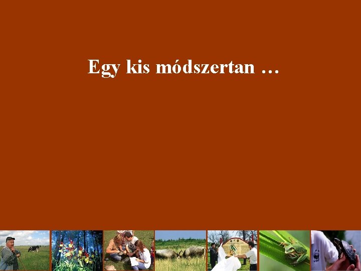 Egy kis módszertan … 