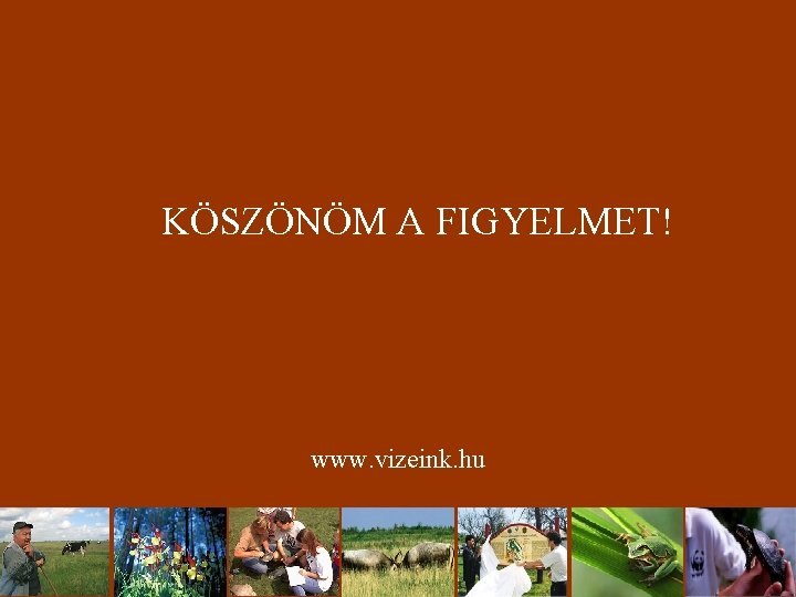 KÖSZÖNÖM A FIGYELMET! www. vizeink. hu 