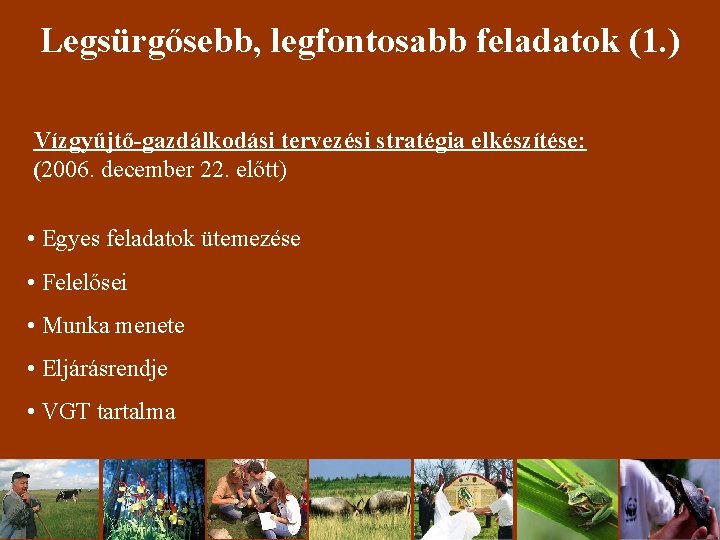 Legsürgősebb, legfontosabb feladatok (1. ) Vízgyűjtő-gazdálkodási tervezési stratégia elkészítése: (2006. december 22. előtt) •