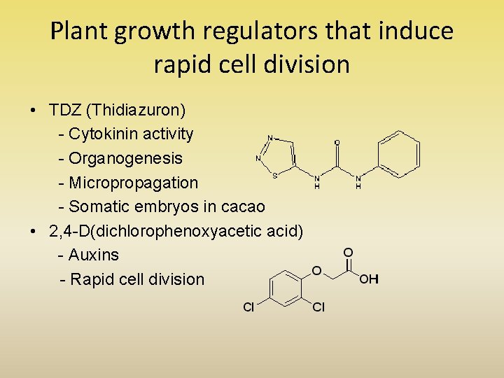 Plant growth regulators that induce rapid cell division • TDZ (Thidiazuron) - Cytokinin activity Plant growth regulators that induce rapid cell division • TDZ (Thidiazuron) - Cytokinin activity