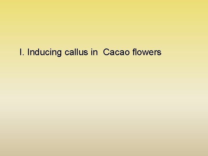 I. Inducing callus in Cacao flowers I. Inducing callus in Cacao flowers