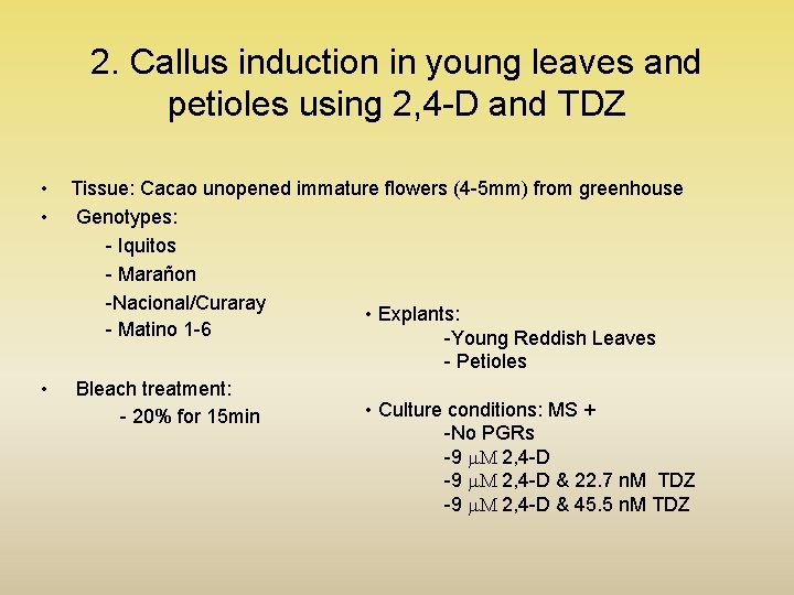 2. Callus induction in young leaves and petioles using 2, 4 -D and TDZ