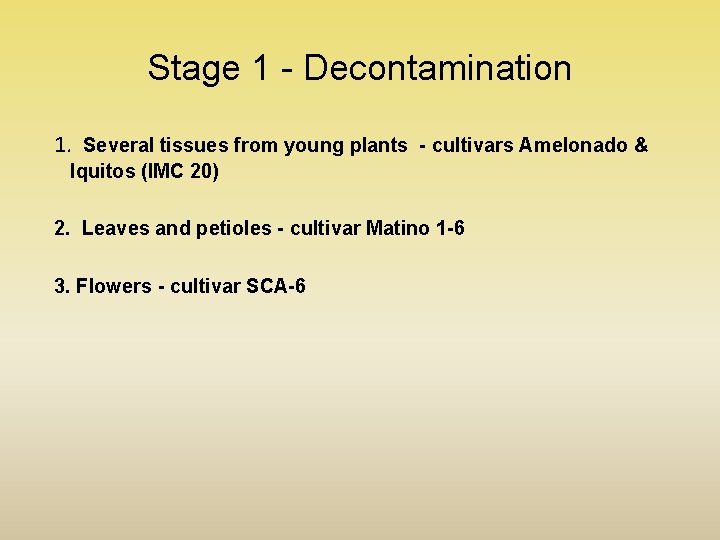 Stage 1 - Decontamination 1. Several tissues from young plants - cultivars Amelonado &