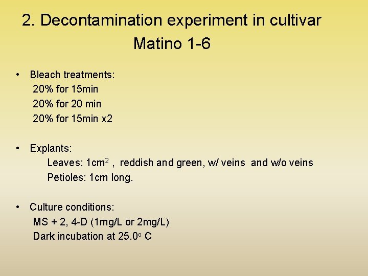 2. Decontamination experiment in cultivar Matino 1 -6 • Bleach treatments: 20% for 15