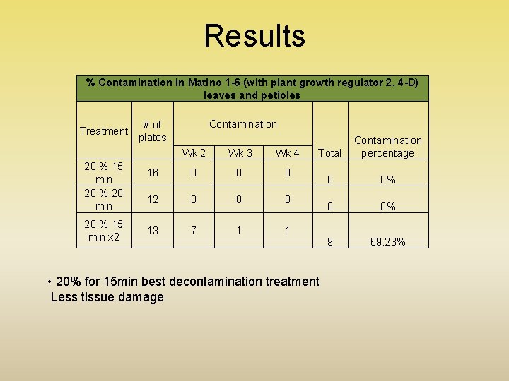 Results % Contamination in Matino 1 -6 (with plant growth regulator 2, 4 -D)