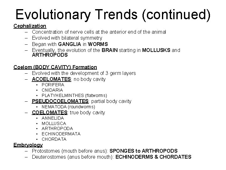 Evolutionary Trends (continued) Cephalization – Concentration of nerve cells at the anterior end of