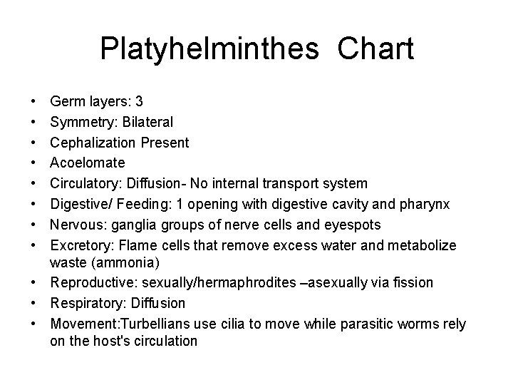 Platyhelminthes Chart • • Germ layers: 3 Symmetry: Bilateral Cephalization Present Acoelomate Circulatory: Diffusion-