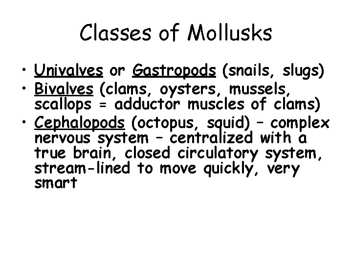 Classes of Mollusks • Univalves or Gastropods (snails, slugs) • Bivalves (clams, oysters, mussels,