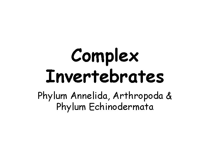 Complex Invertebrates Phylum Annelida, Arthropoda & Phylum Echinodermata 