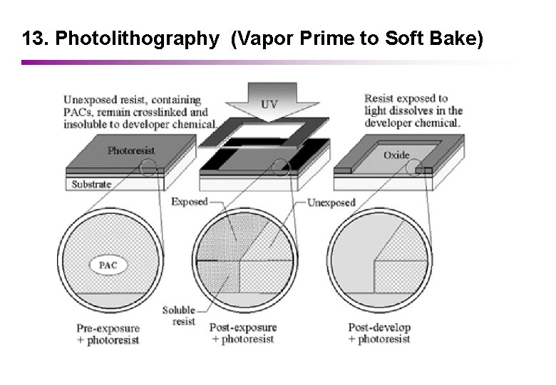 13. Photolithography (Vapor Prime to Soft Bake) 