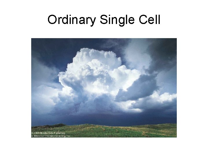 Ordinary Single Cell 