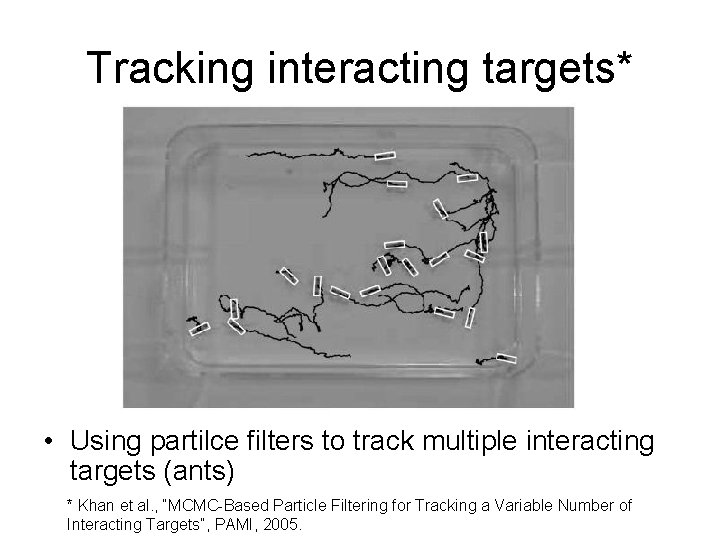 Tracking interacting targets* • Using partilce filters to track multiple interacting targets (ants) * Tracking interacting targets* • Using partilce filters to track multiple interacting targets (ants) *