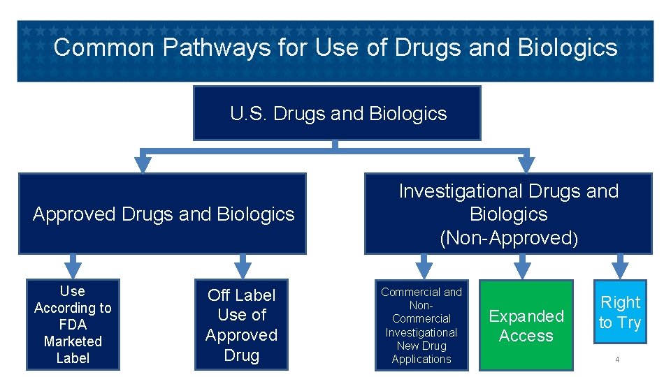 Common Pathways for Use of Drugs and Biologics U. S. Drugs and Biologics Approved