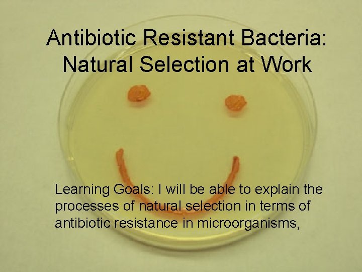 Antibiotic Resistant Bacteria: Natural Selection at Work Learning Goals: I will be able to