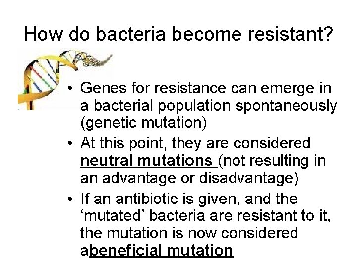 How do bacteria become resistant? • Genes for resistance can emerge in a bacterial