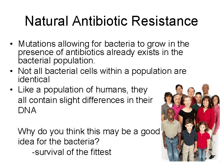 Natural Antibiotic Resistance • Mutations allowing for bacteria to grow in the presence of