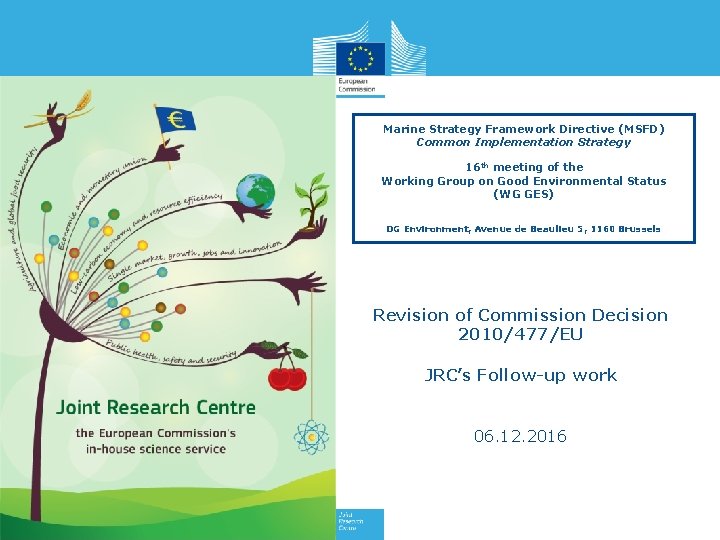 Marine Strategy Framework Directive (MSFD) Common Implementation Strategy 16 th meeting of the Working