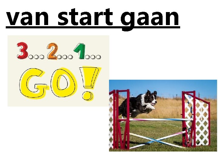 van start gaan 