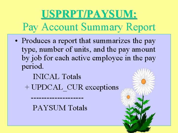 USPRPT/PAYSUM: Pay Account Summary Report • Produces a report that summarizes the pay type,