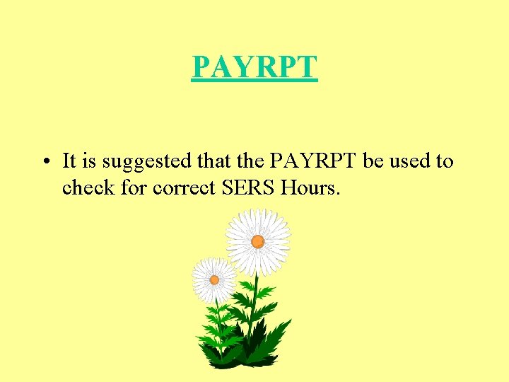 PAYRPT • It is suggested that the PAYRPT be used to check for correct