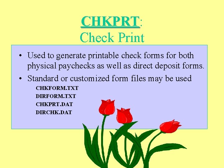 CHKPRT: CHKPRT Check Print • Used to generate printable check forms for both physical