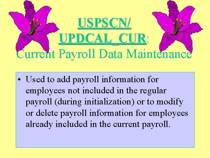 USPSCN/ UPDCAL_CUR: UPDCAL_CUR Current Payroll Data Maintenance • Used to add payroll information for