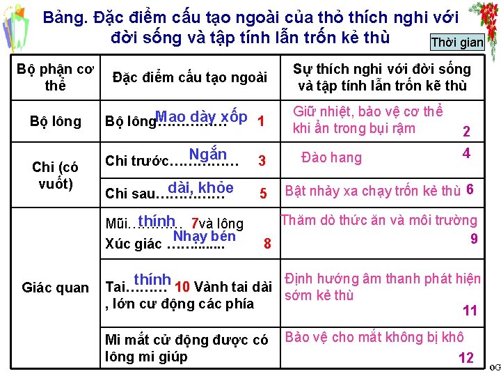 Bảng. Đặc điểm cấu tạo ngoài của thỏ thích nghi với đời sống và