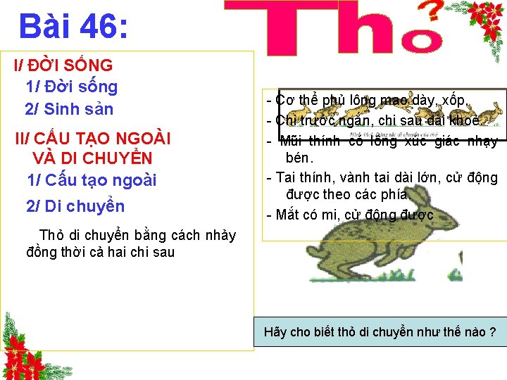 Bài 46: I/ ĐỜI SỐNG 1/ Đời sống 2/ Sinh sản II/ CẤU TẠO