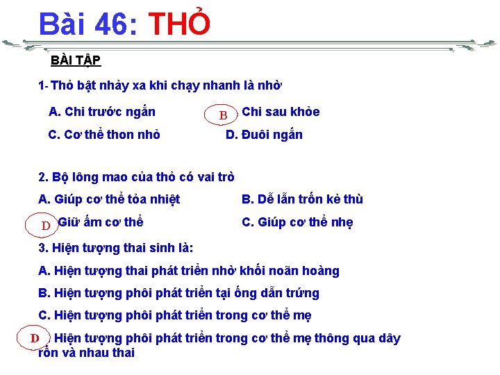 Bài 46: THỎ BÀI TẬP 1 - Thỏ bật nhảy xa khi chạy nhanh