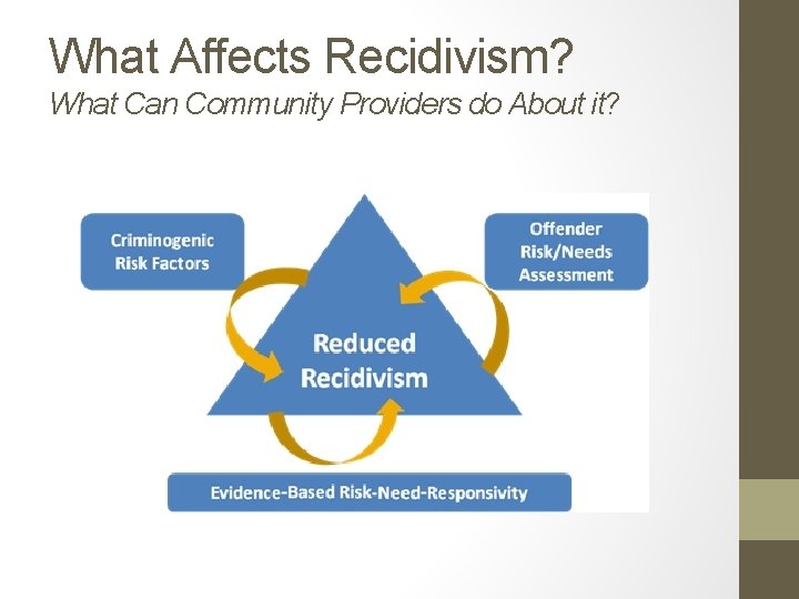 What Affects Recidivism? What Can Community Providers do About it? 