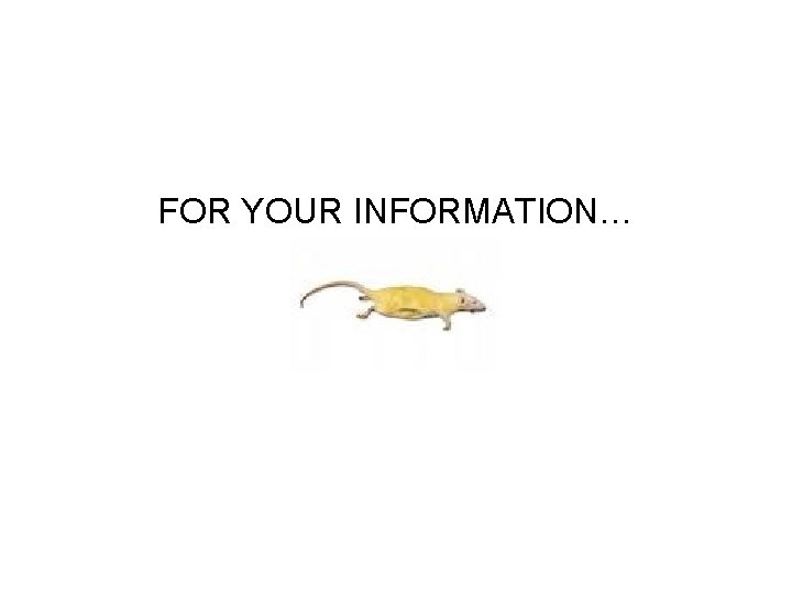 FOR YOUR INFORMATION… 