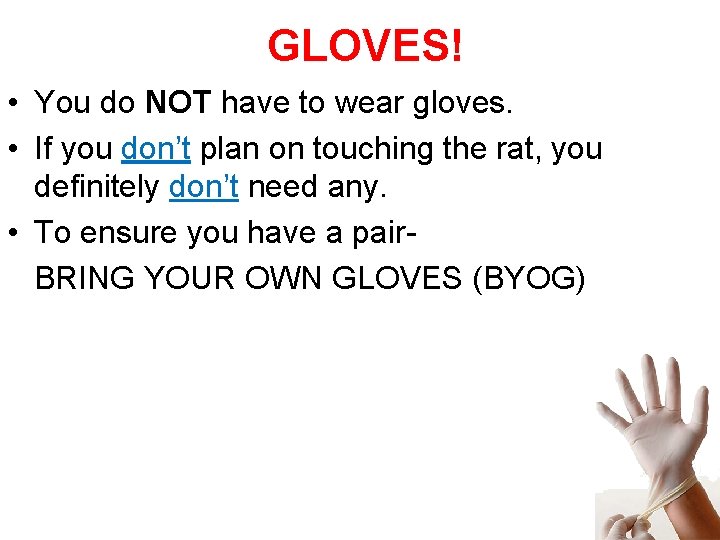 GLOVES! • You do NOT have to wear gloves. • If you don’t plan