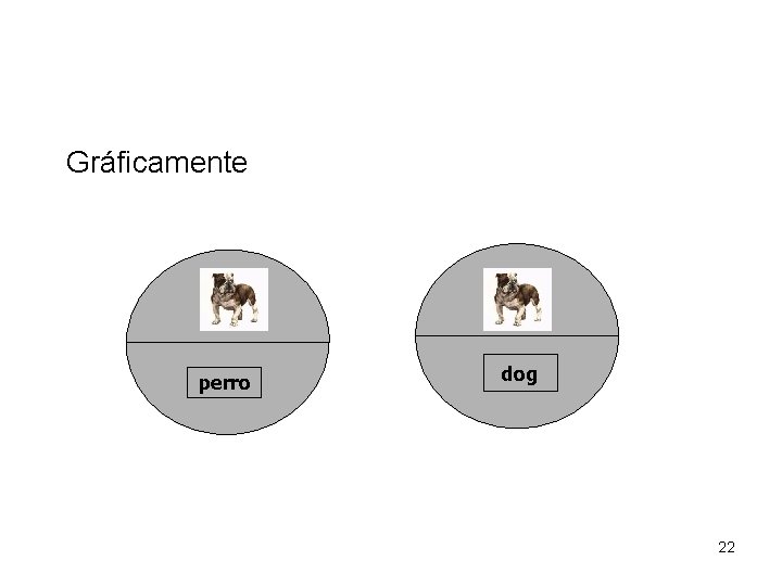 Gráficamente perro dog 22 